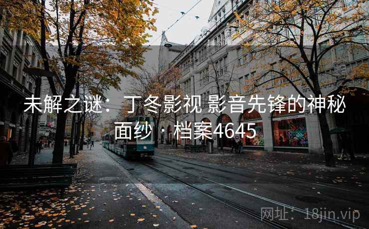 未解之谜：丁冬影视 影音先锋的神秘面纱 · 档案4645