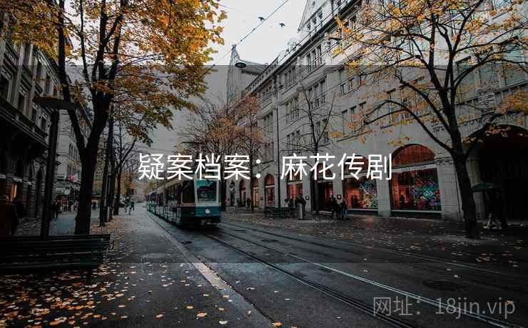 疑案档案:麻花传剧