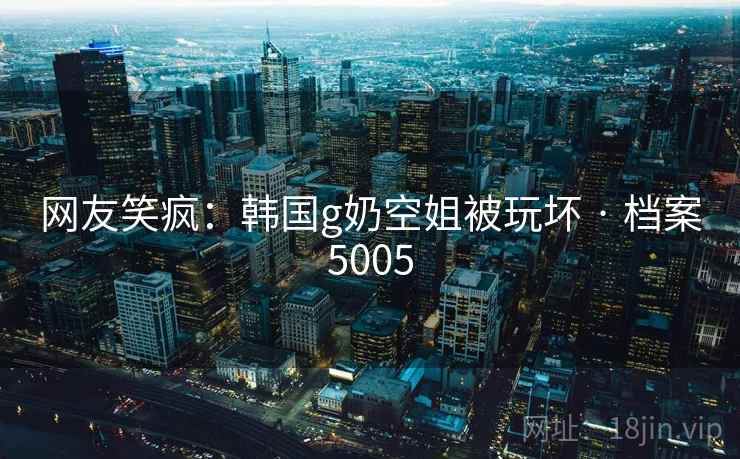 网友笑疯：韩国g奶空姐被玩坏 · 档案5005