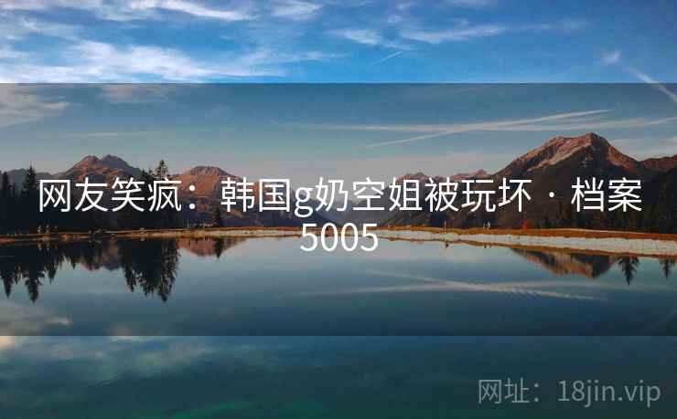 网友笑疯：韩国g奶空姐被玩坏 · 档案5005