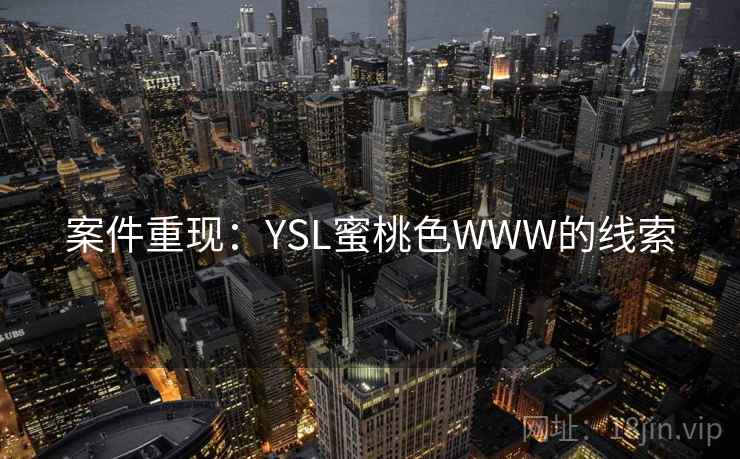案件重现：YSL蜜桃色WWW的线索